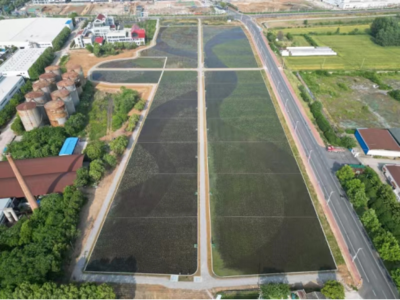 十七冶 含山縣污水處理廠尾水凈化工程順利通過竣工驗(yàn)收